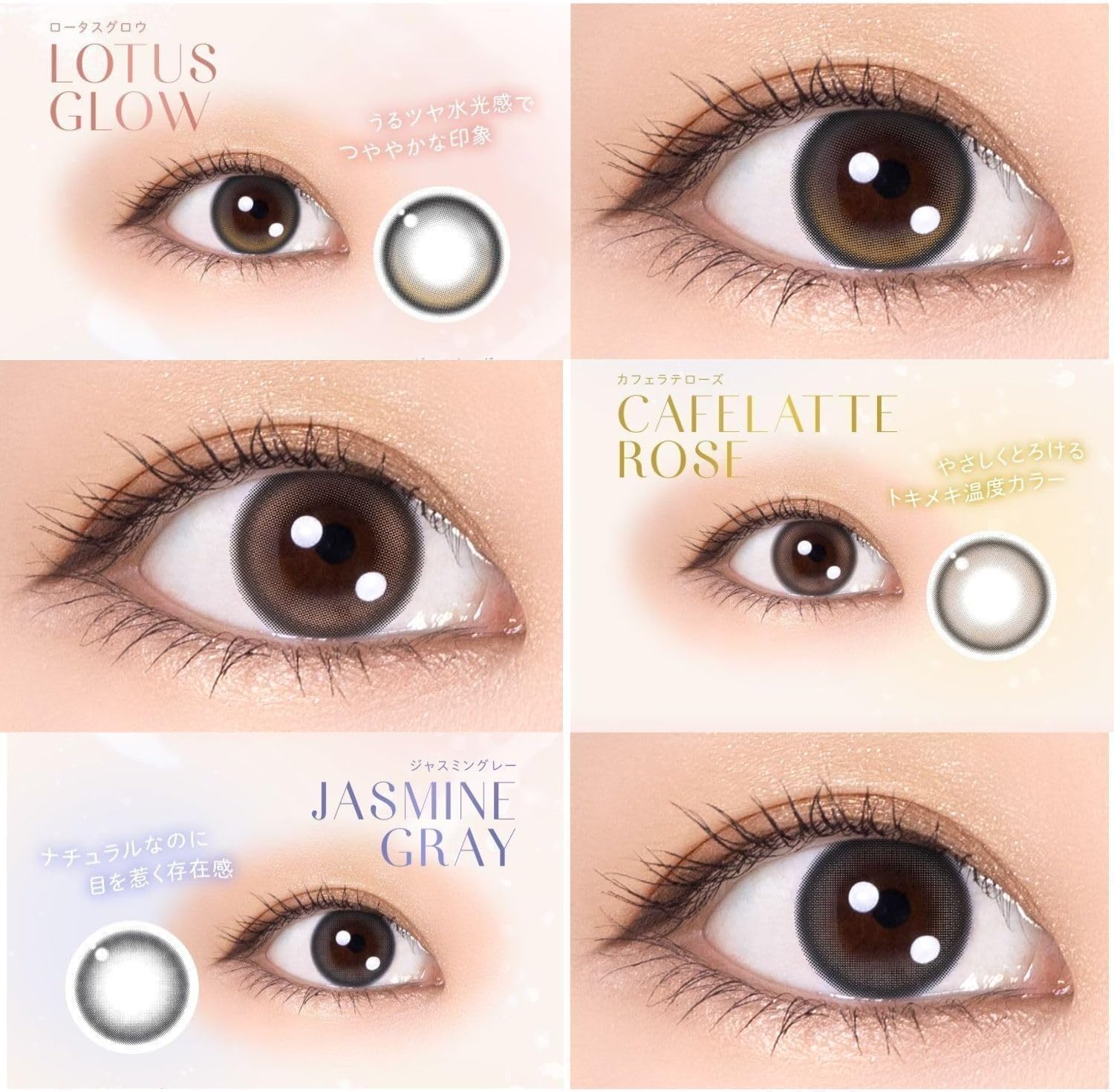 Amazon | Winkuu 1DAY ウィンクゥーワンデー 柏木由紀プロデュース